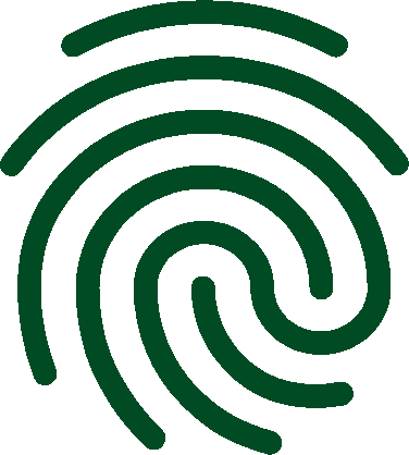 QR-WEB